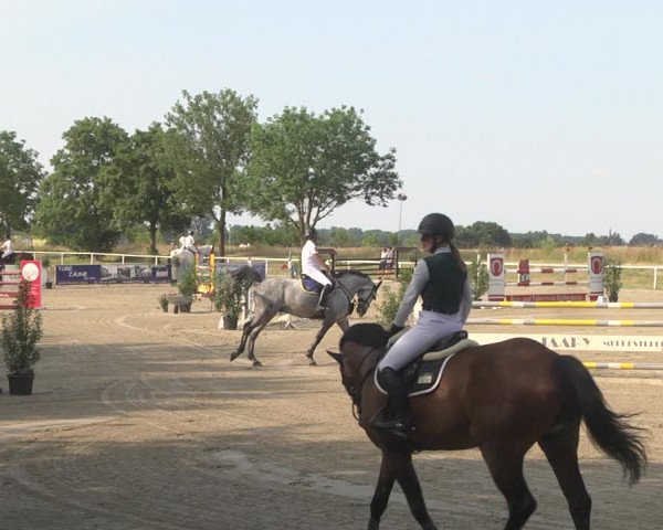 Reitturnier Biebesheim 2023