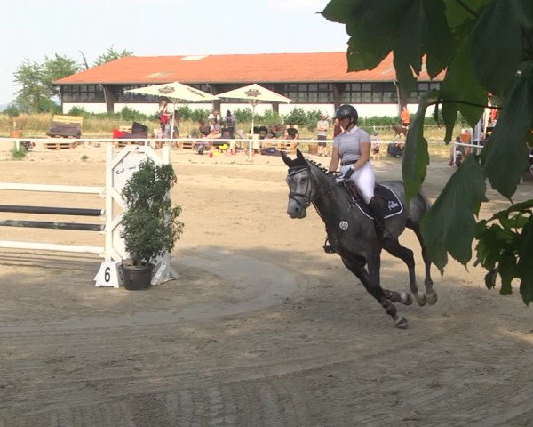 Reitturnier Biebesheim 2023