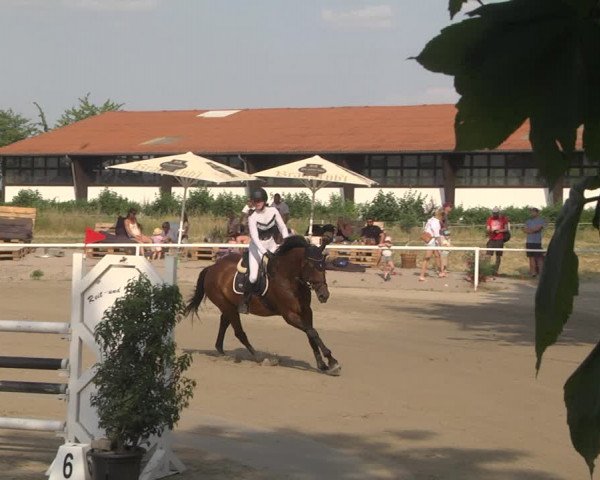 Reitturnier Biebesheim 2023