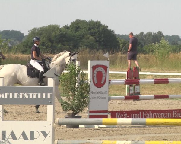 Reitturnier Biebesheim 2023