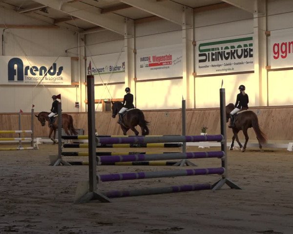 Reitturnier Ochtrup 2023
