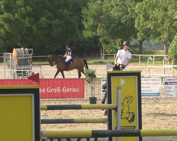 Reitturnier Biebesheim 2023