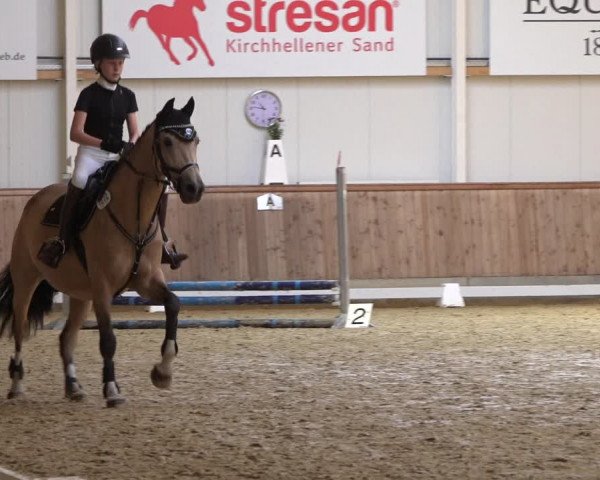 Reitturnier Ochtrup 2023