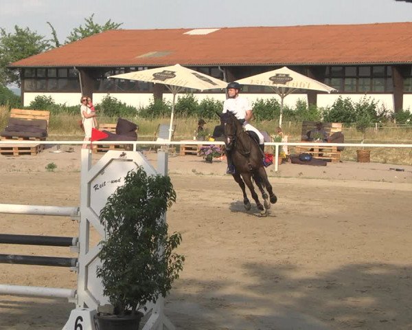 Reitturnier Biebesheim 2023