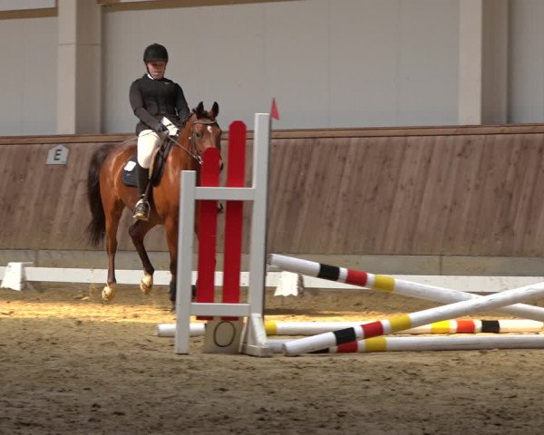 Reitturnier Ochtrup 2023