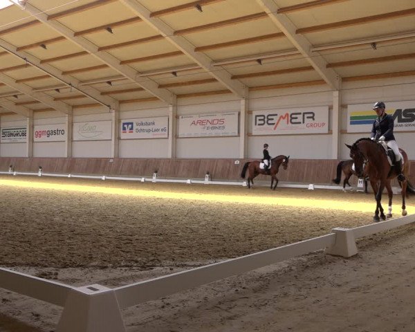 Reitturnier Ochtrup 2023