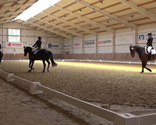 Reitturnier Ochtrup 2023