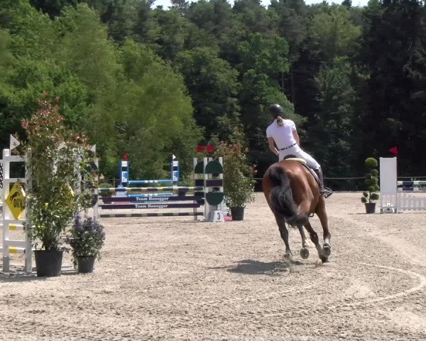 Reitturnier Meilen 2023