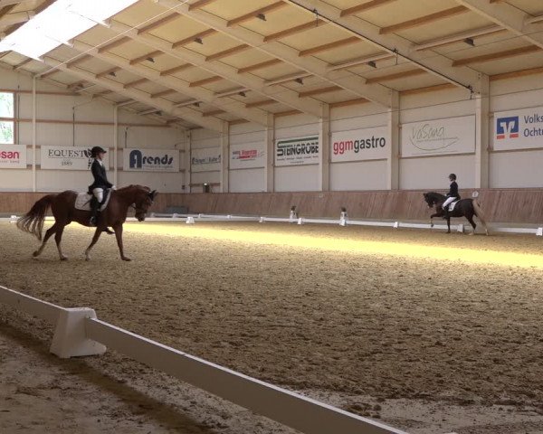 Reitturnier Ochtrup 2023