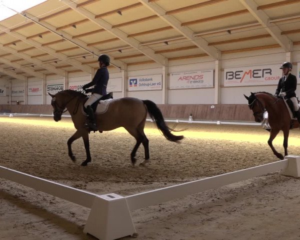 Reitturnier Ochtrup 2023