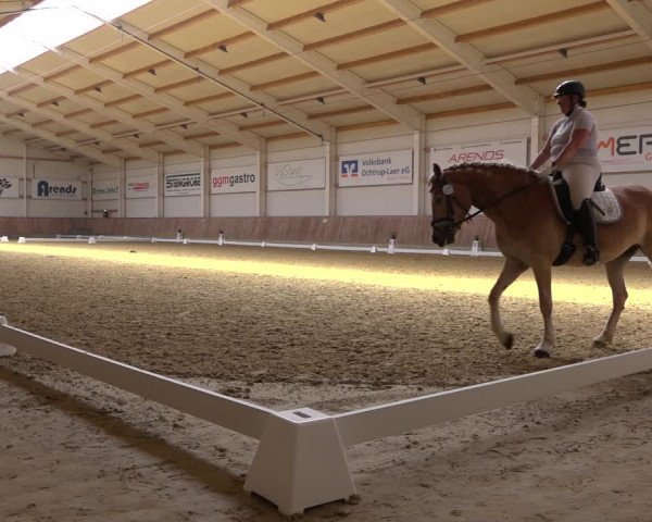 Reitturnier Ochtrup 2023