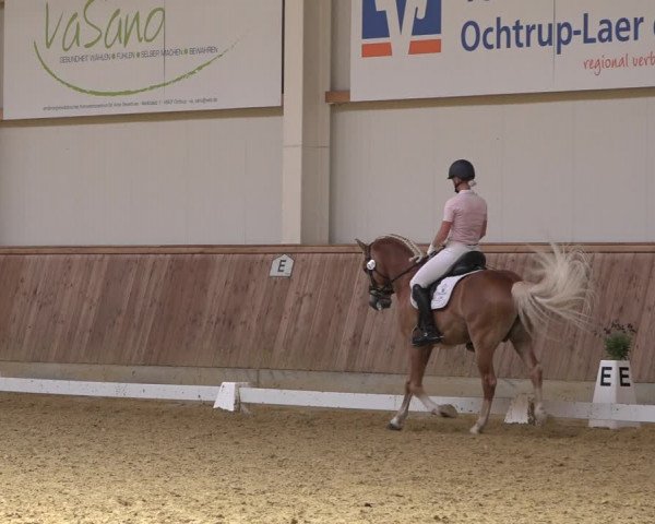 Reitturnier Ochtrup 2023