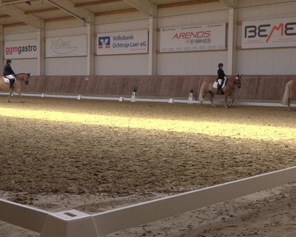 Reitturnier Ochtrup 2023