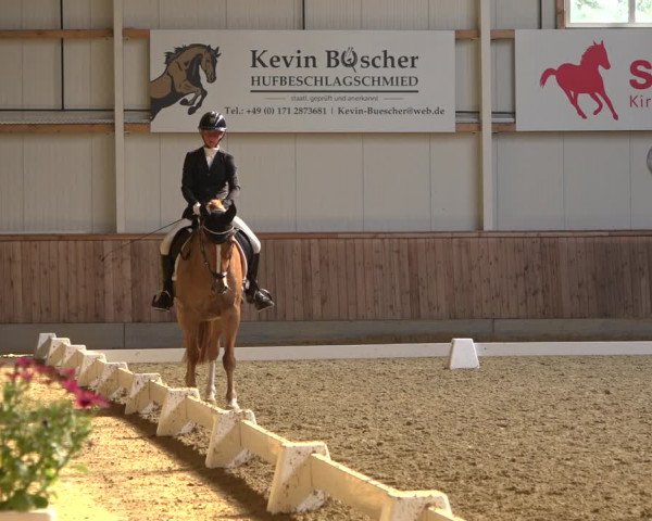 Reitturnier Ochtrup 2023