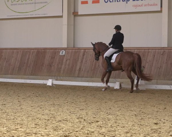 Reitturnier Ochtrup 2023