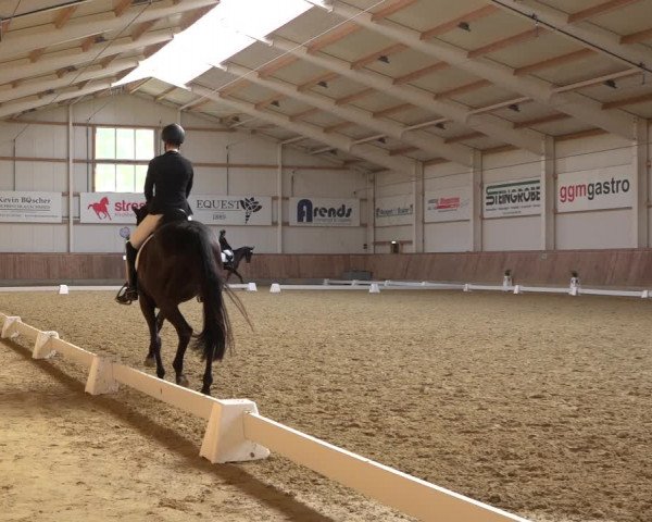 Reitturnier Ochtrup 2023
