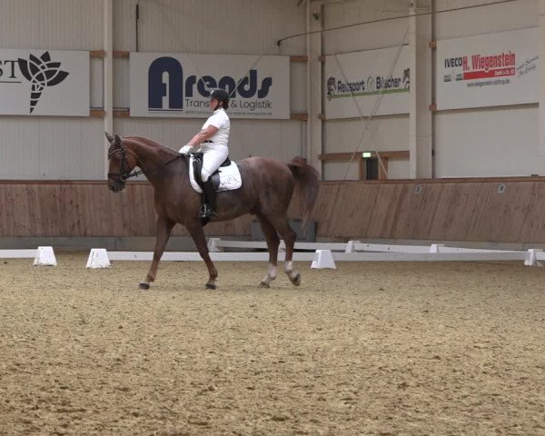 Reitturnier Ochtrup 2023