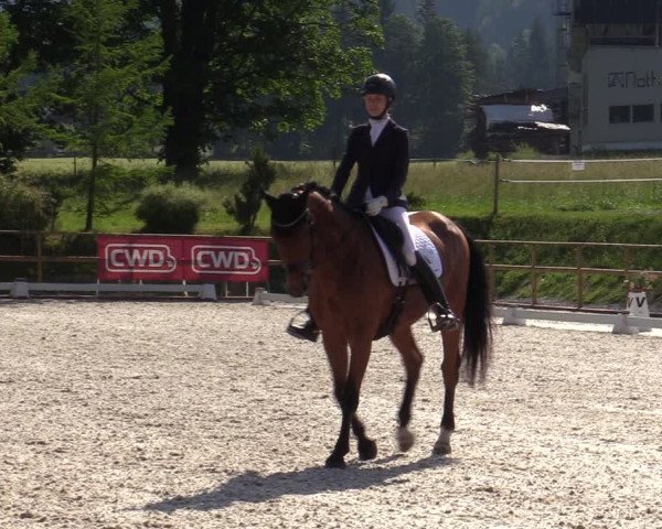Reitturnier St. Ulrich am Pillersee 2023