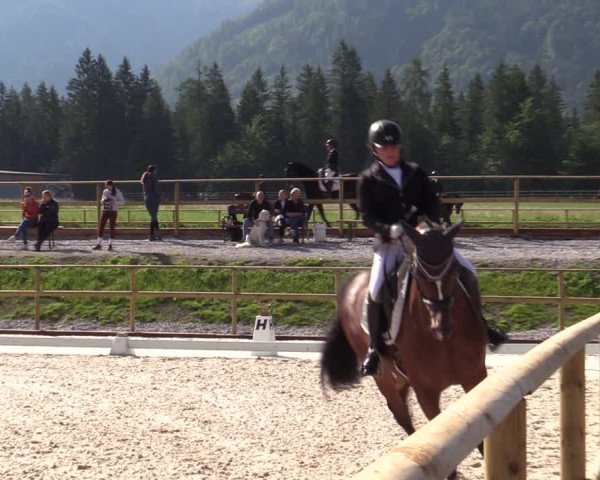 Reitturnier St. Ulrich am Pillersee 2023