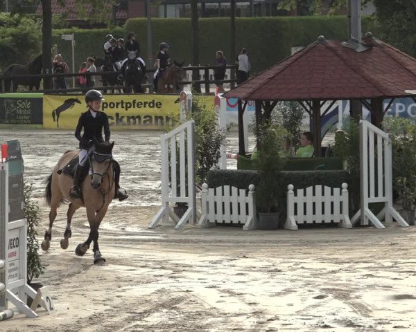 Reitturnier Ochtrup 2023