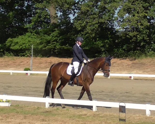 Reitturnier Coesfeld/Lette 2023