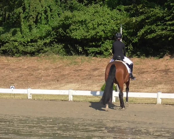 Reitturnier Coesfeld/Lette 2023