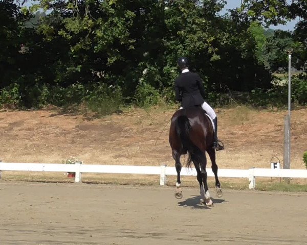 Reitturnier Coesfeld/Lette 2023