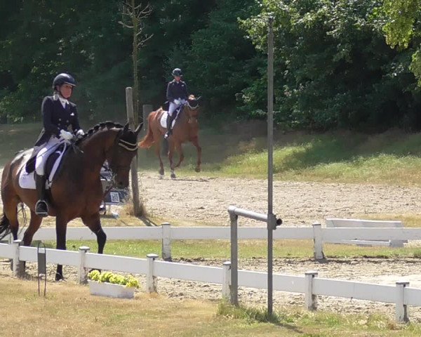 Reitturnier Coesfeld/Lette 2023