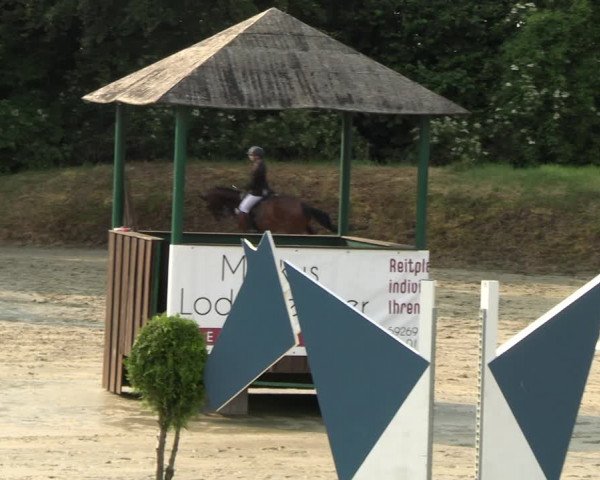 Reitturnier Fröndenberg 2023