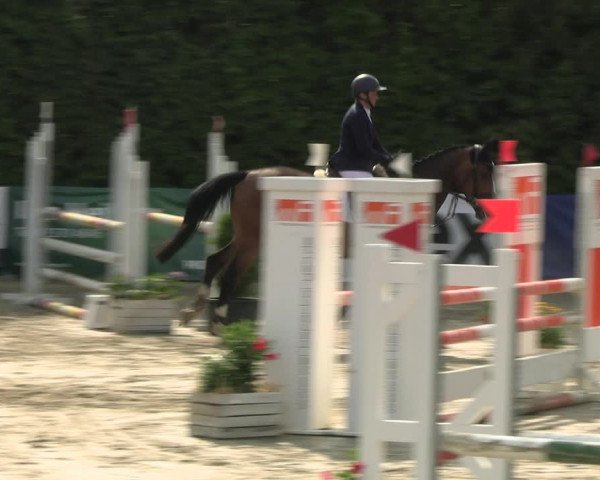 Reitturnier Fröndenberg 2023