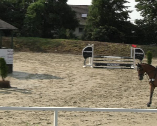 Reitturnier Fröndenberg 2023