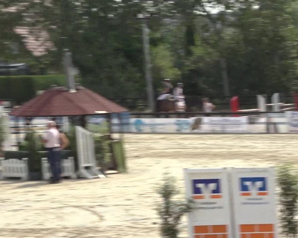 Reitturnier Ochtrup 2023