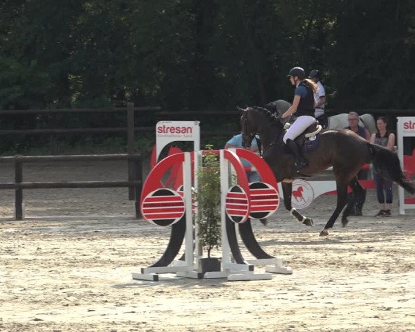 Reitturnier Ochtrup 2023
