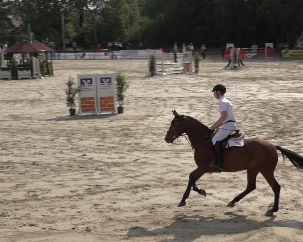 Reitturnier Ochtrup 2023