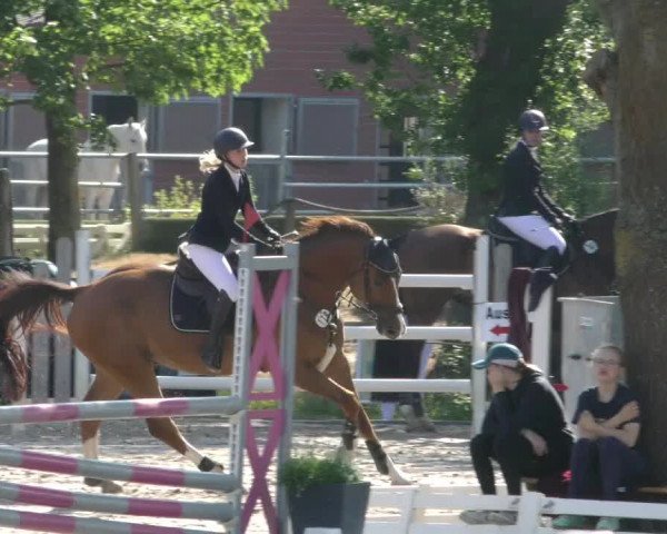 Reitturnier Handorf 2023