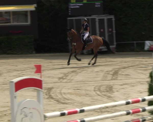 Reitturnier Fröndenberg 2023