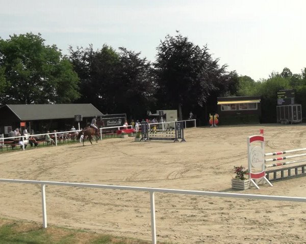 Reitturnier Fröndenberg 2023