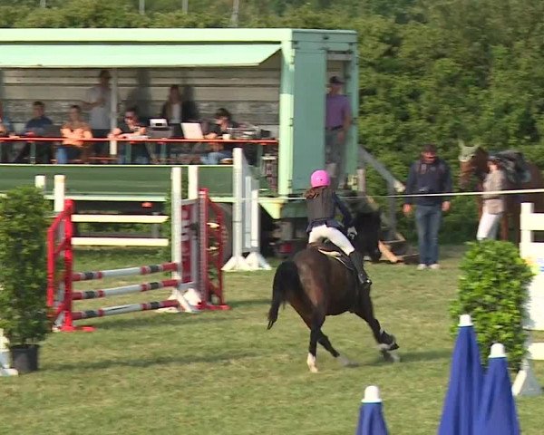 Reitturnier Bad Windsheim/Mfr. 2023