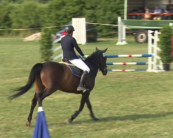 Reitturnier Bad Windsheim/Mfr. 2023