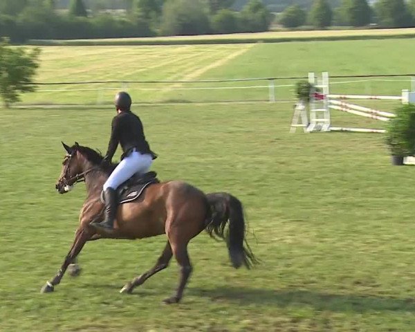 Reitturnier Bad Windsheim/Mfr. 2023