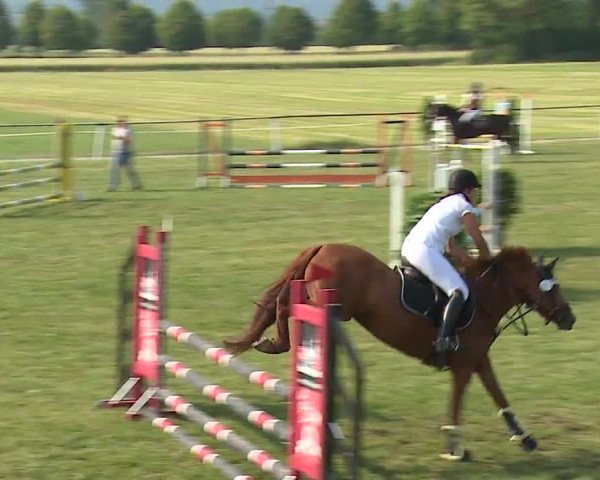 Reitturnier Bad Windsheim/Mfr. 2023
