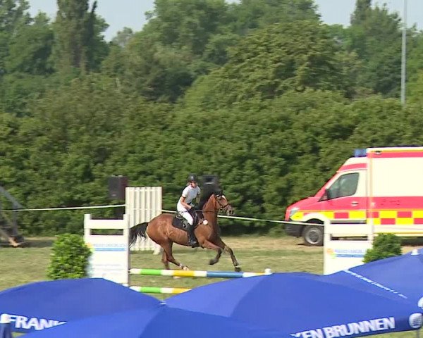 Reitturnier Bad Windsheim/Mfr. 2023
