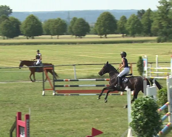 Reitturnier Bad Windsheim/Mfr. 2023