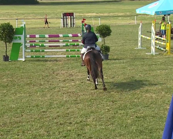 Reitturnier Bad Windsheim/Mfr. 2023
