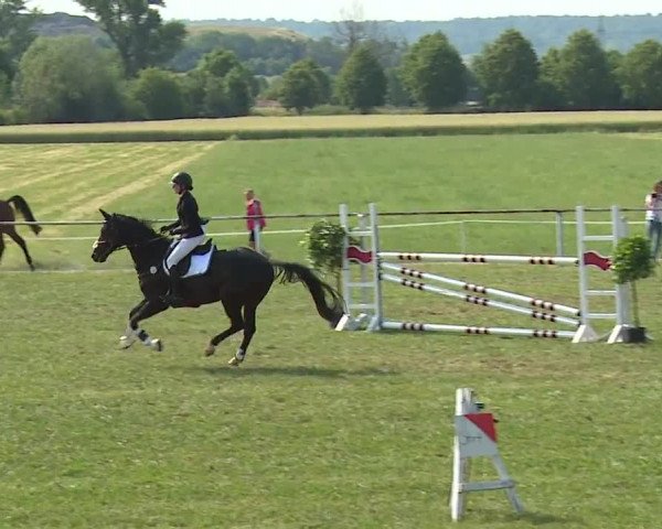 Reitturnier Bad Windsheim/Mfr. 2023