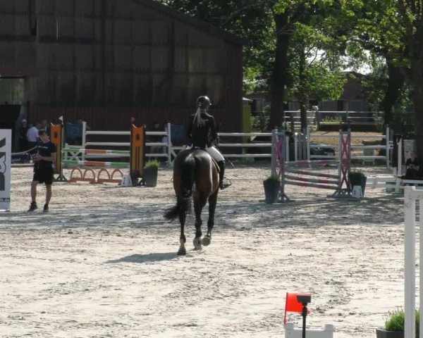 Reitturnier Handorf 2023
