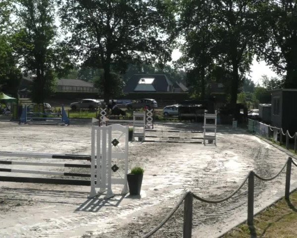 Reitturnier Handorf 2023