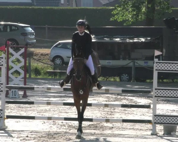 Reitturnier Handorf 2023