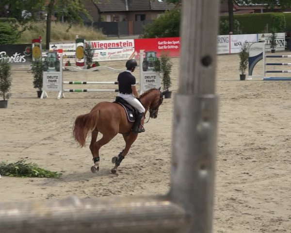 Reitturnier Ochtrup 2023