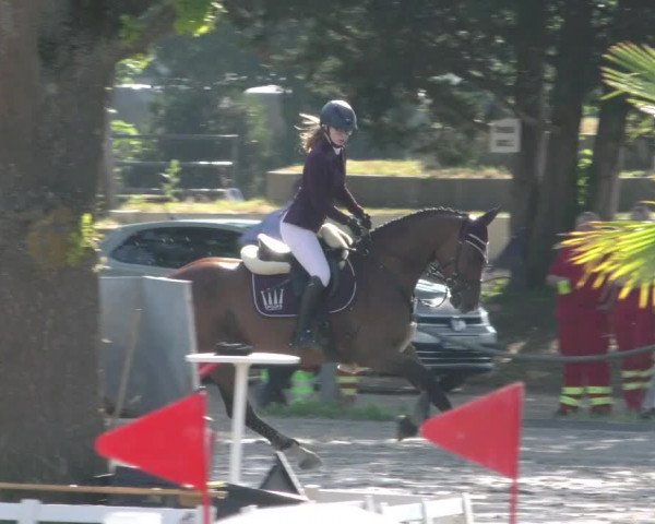 Reitturnier Handorf 2023